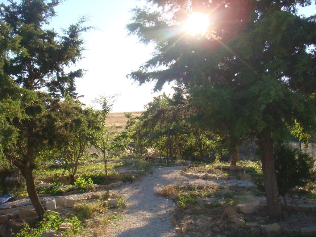 Campo De Reyes Hotel Tafalla Luaran gambar